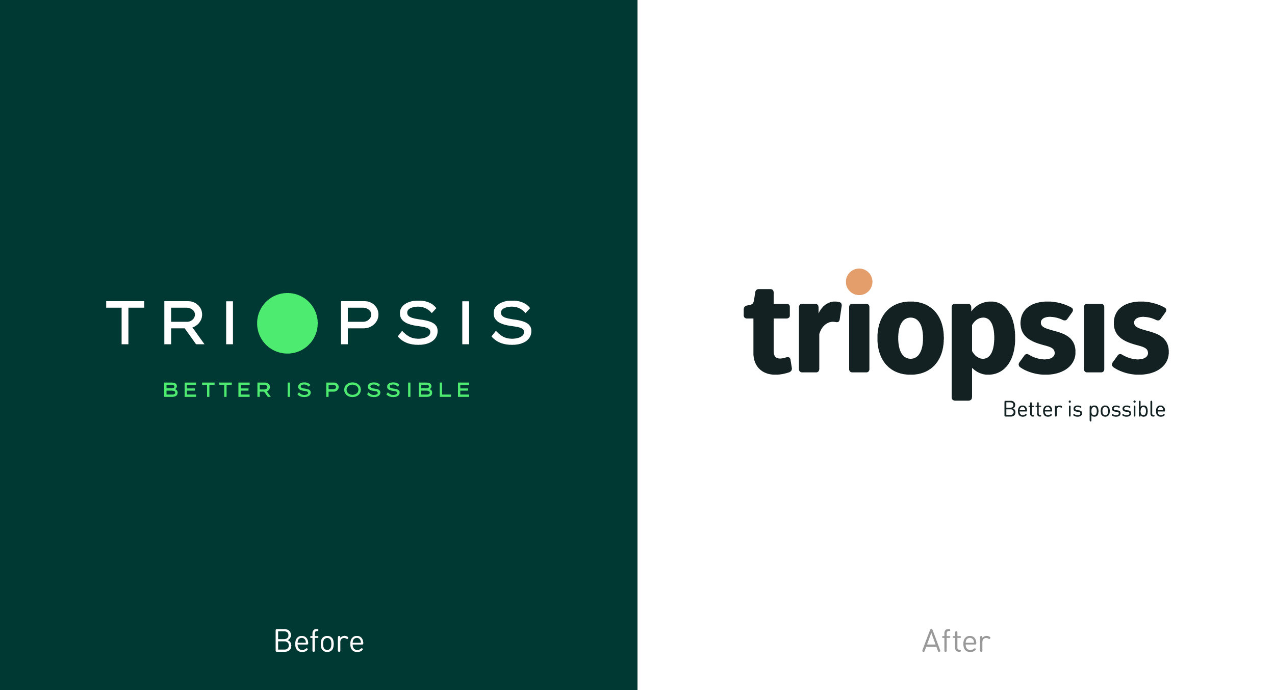 Triopsis-Case study