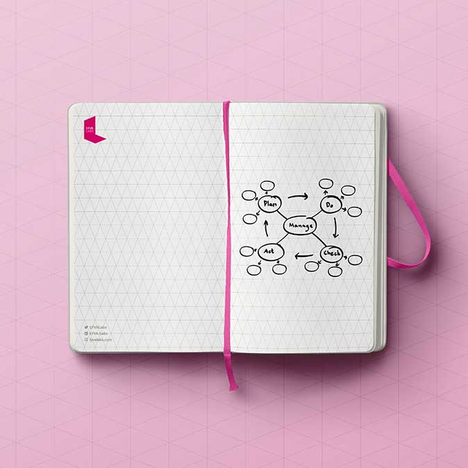 LYVA Labs notebook